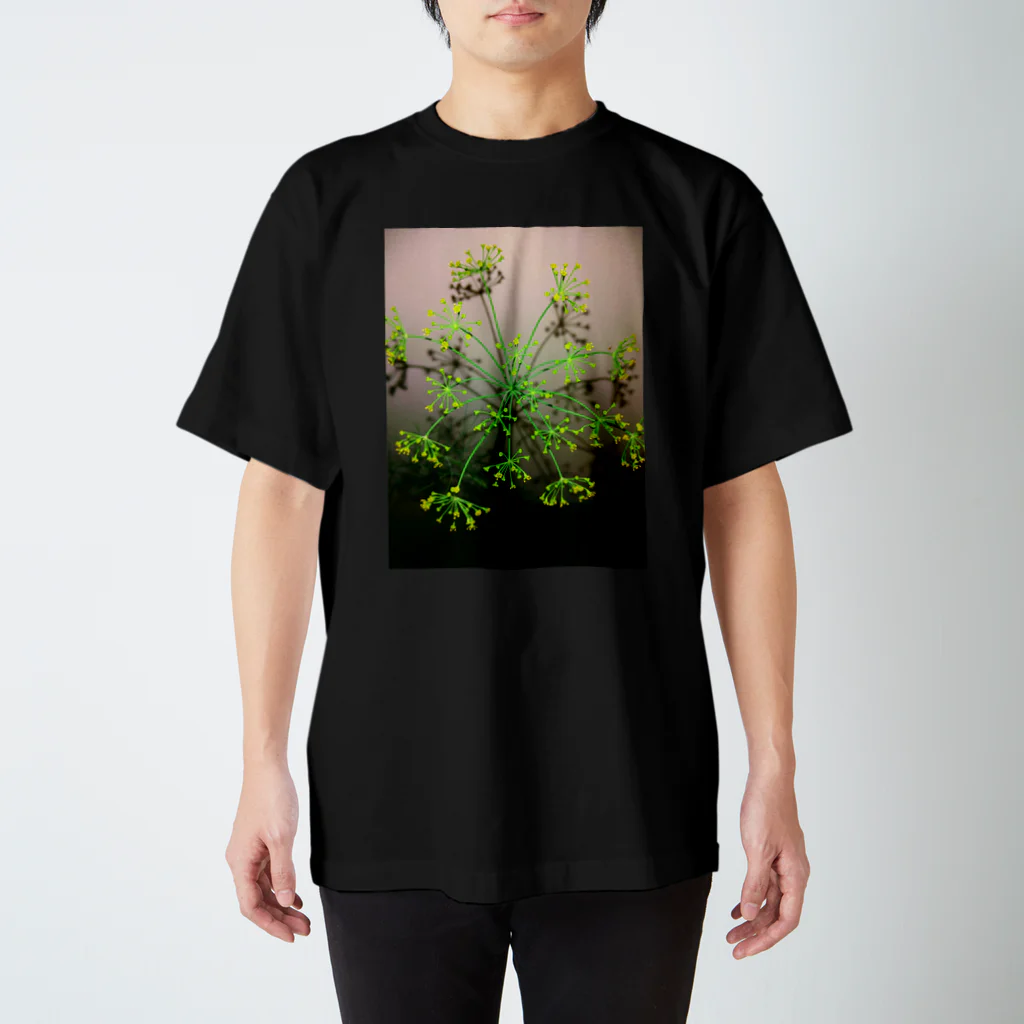 あかつきの花火 スタンダードTシャツ