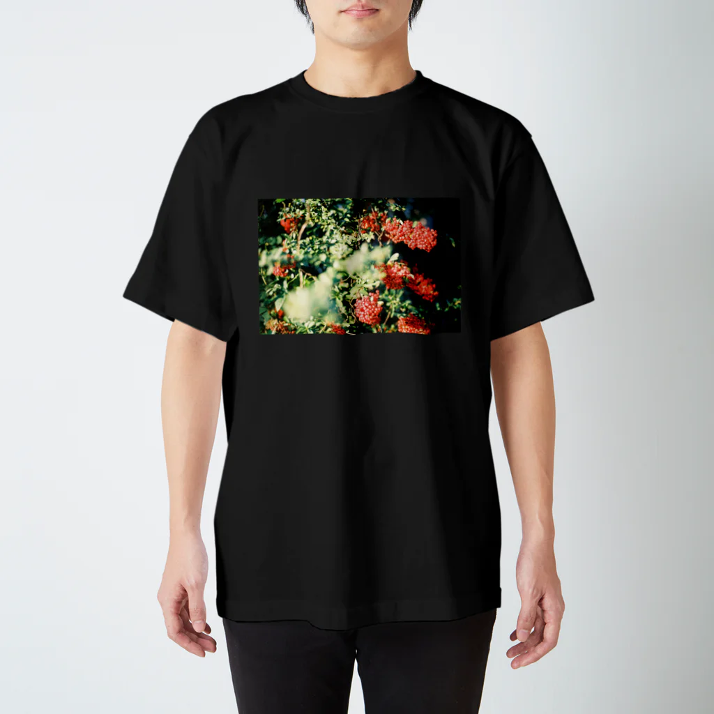 yohの赤い Regular Fit T-Shirt