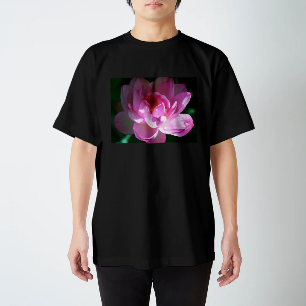 akane_art（茜音工房）の癒しの風景（ハス） Regular Fit T-Shirt