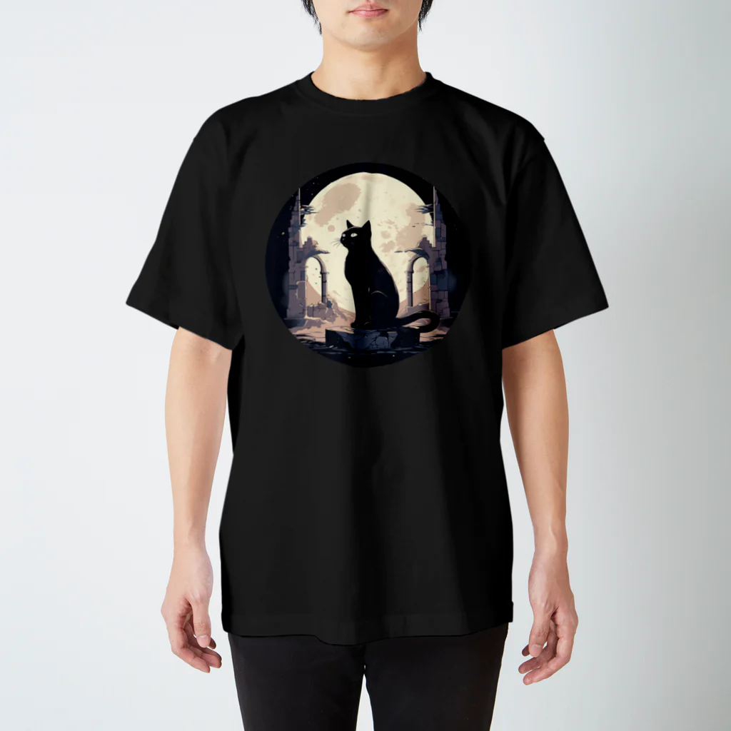 廃墟猫の夢の廃墟猫 Regular Fit T-Shirt