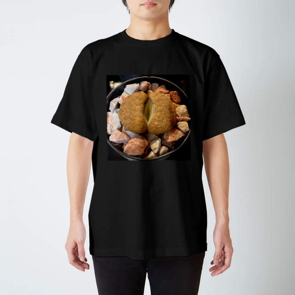 しめさばのリトープス Regular Fit T-Shirt