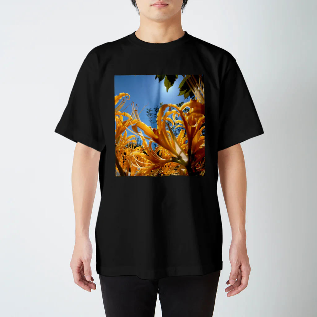 MMの黄色のひがん花 Regular Fit T-Shirt