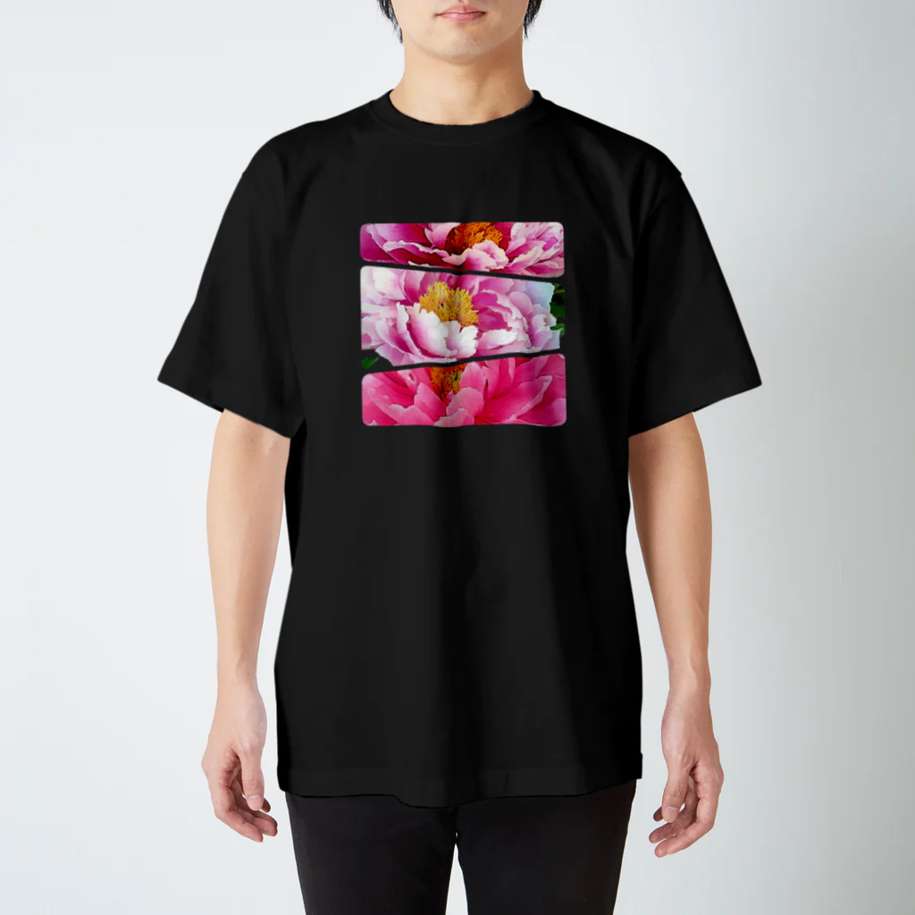 Hanamusubi001のP牡丹ボーダー柄。 スタンダードTシャツ