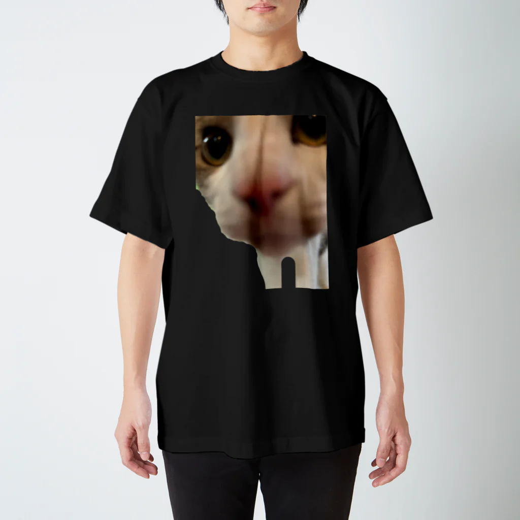 いやし猫　ふぁにーきゃっとのいやし猫　無限ちゃん Regular Fit T-Shirt