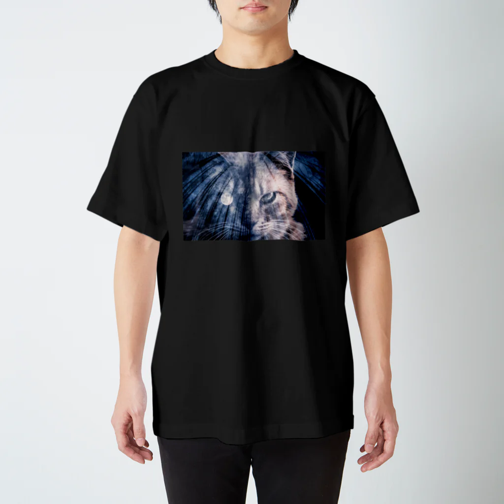 ozill5225の猫 スタンダードTシャツ