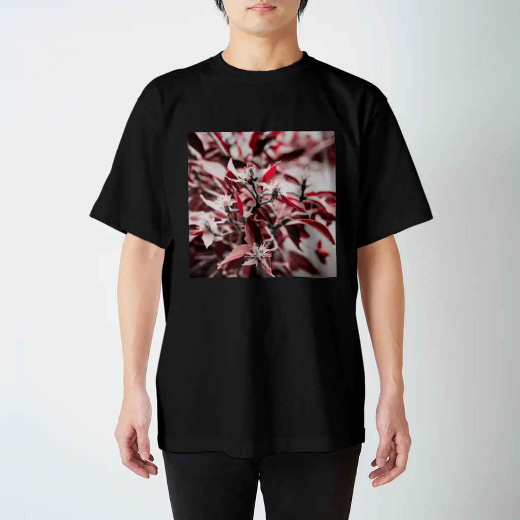 Arcana Visionのアシュワガンダ スタンダードTシャツ