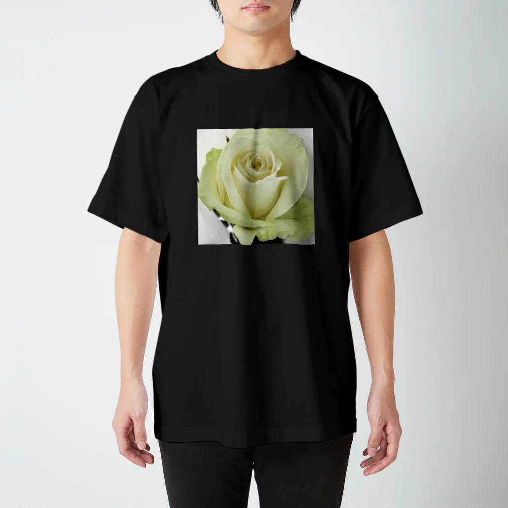 kstx__のWhiteRose スタンダードTシャツ