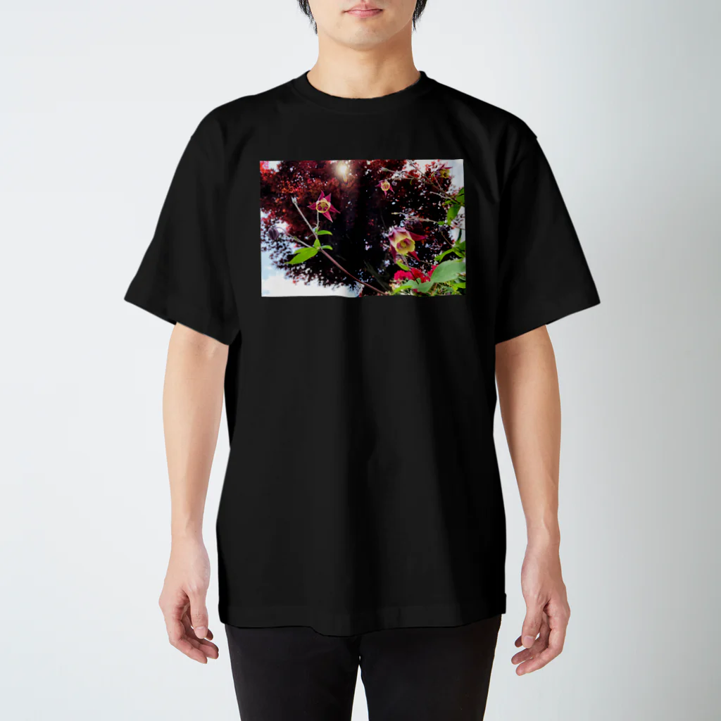 プレーリーイズグッドの近景 スタンダードTシャツ