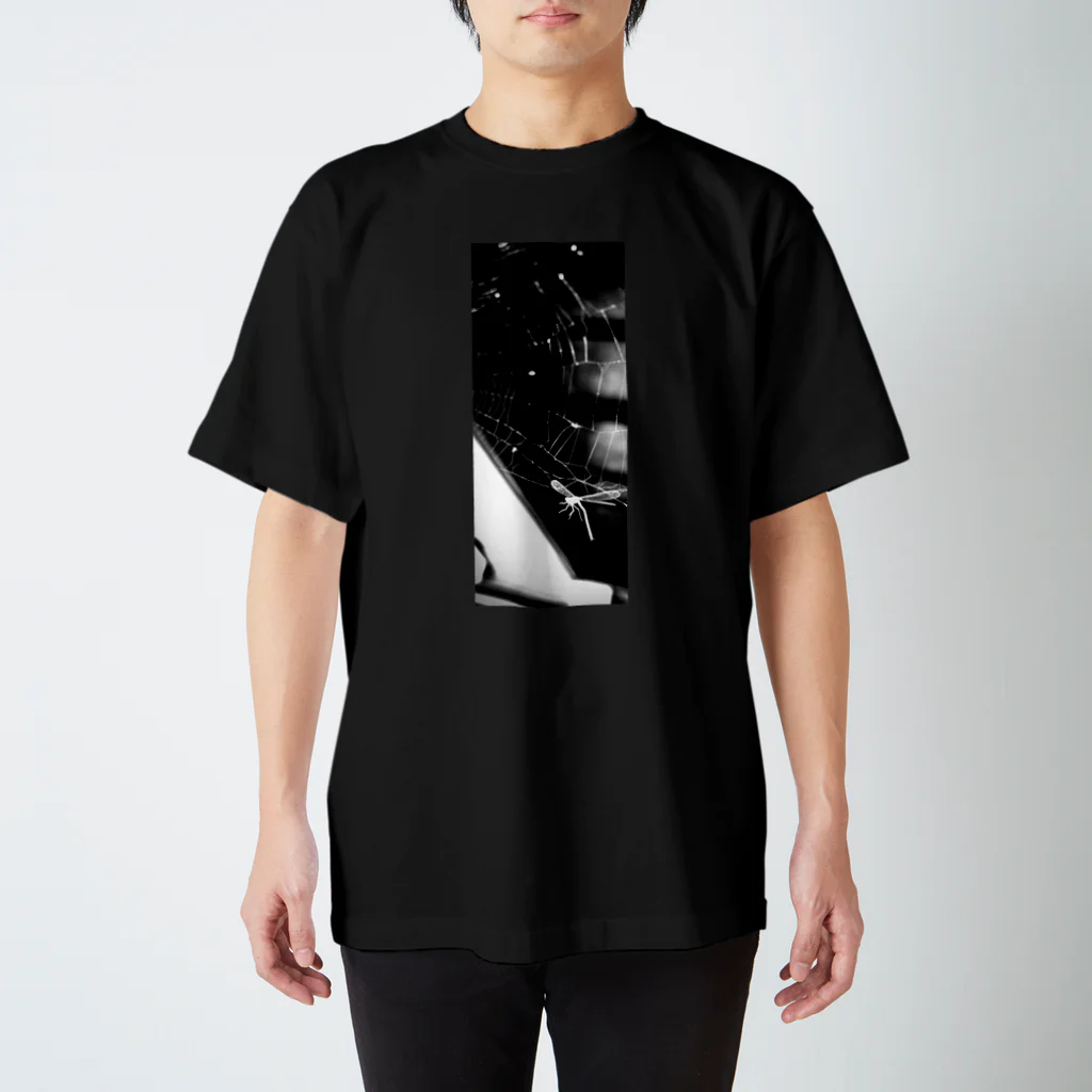 oe_photostudioの蜘蛛の巣と蜻蛉 Regular Fit T-Shirt