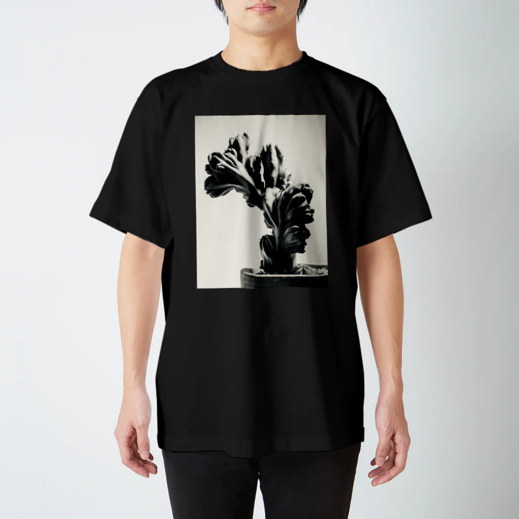 カケイプランツの竜神木綴化 Regular Fit T-Shirt