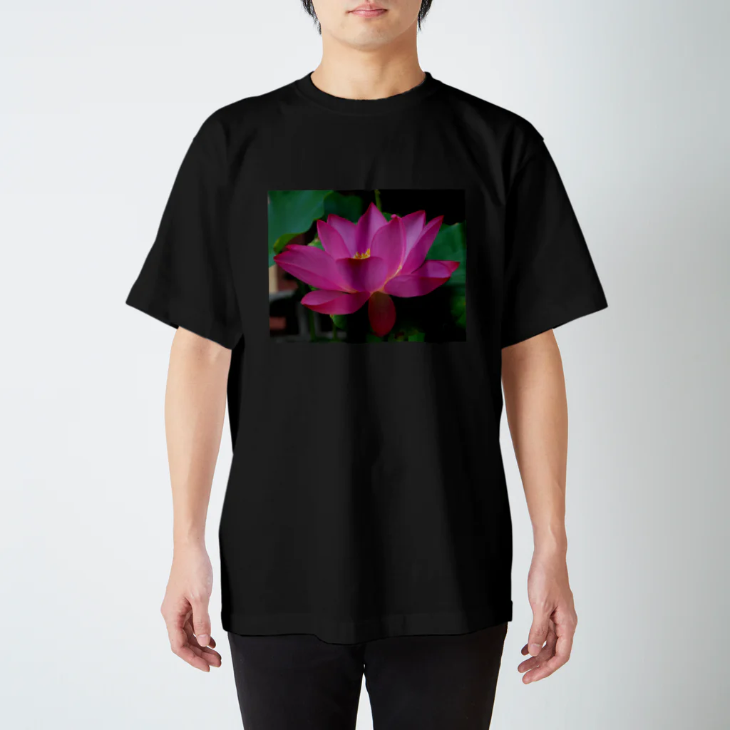 つぶつぶとのlotus（pink） スタンダードTシャツ