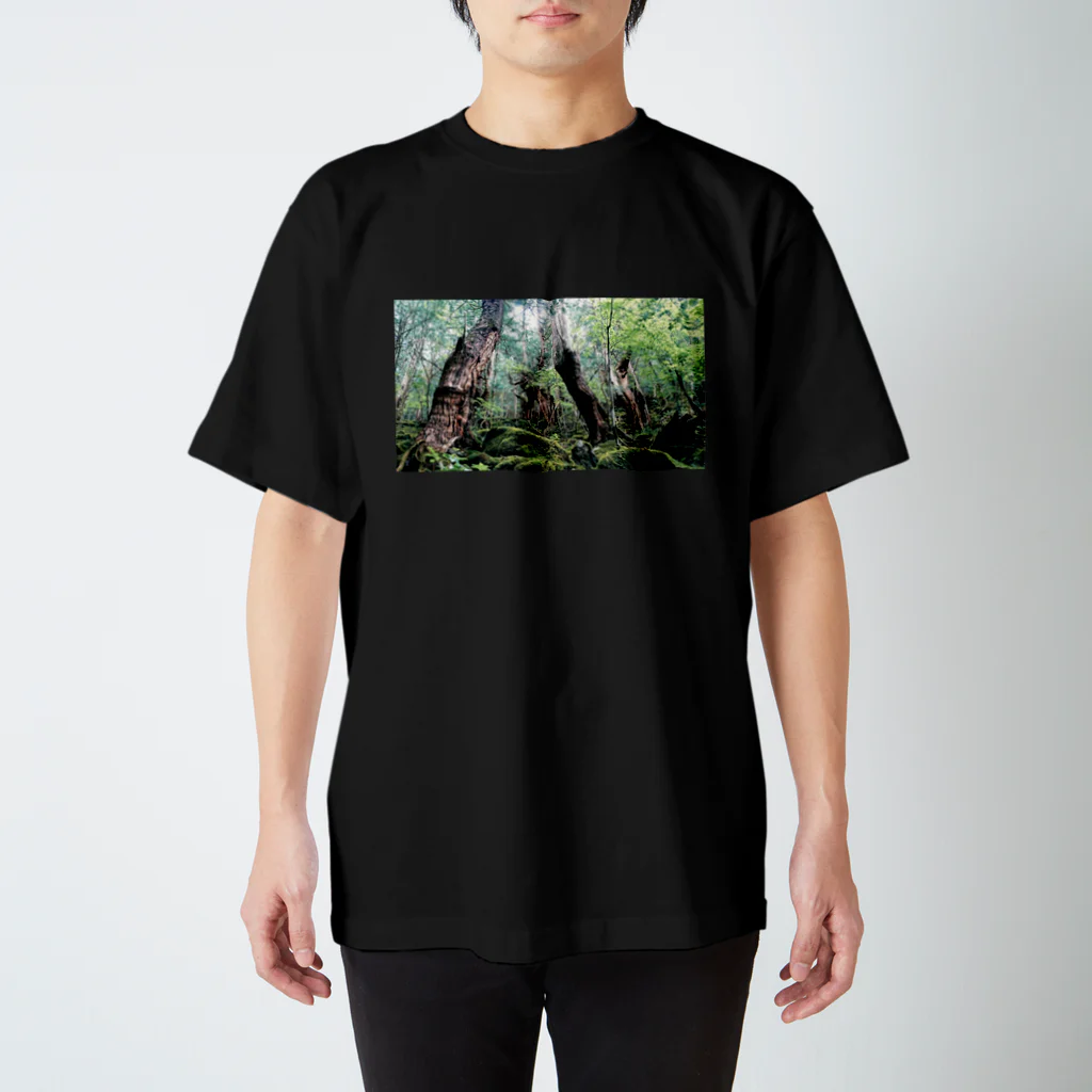 つぶつぶとのForest Regular Fit T-Shirt