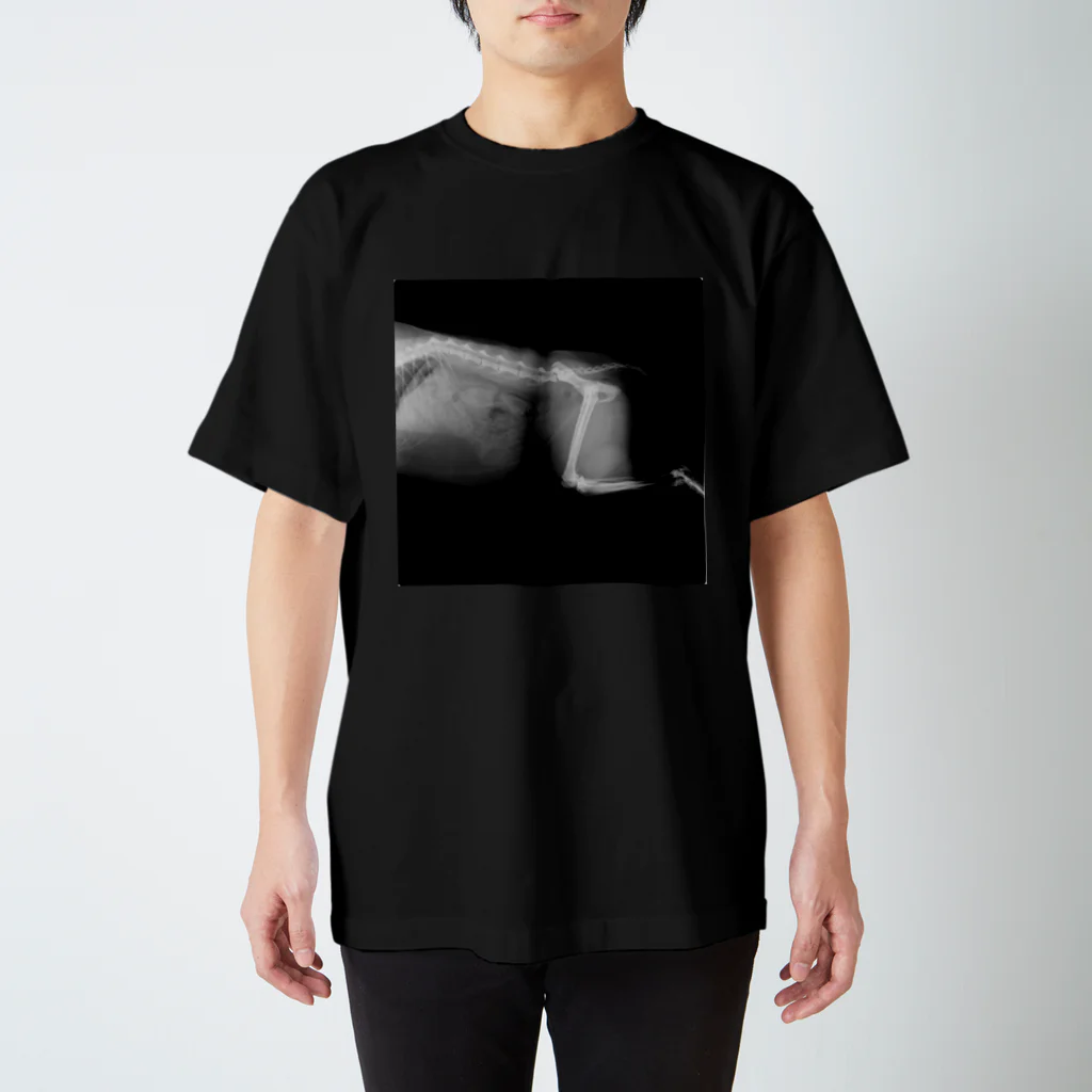 愛猫のグッズが欲しいのホネナス Regular Fit T-Shirt