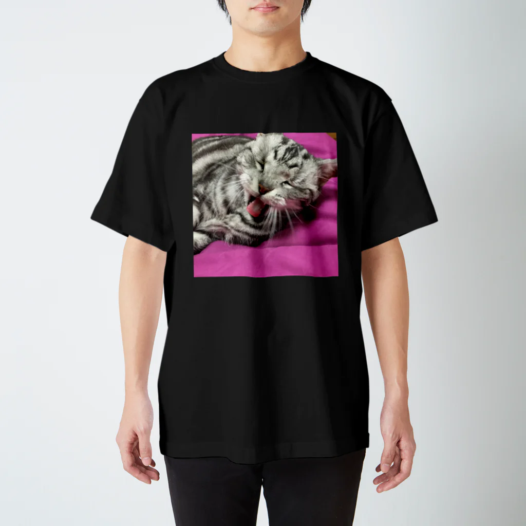 私もねこ好きの起きる合図。 Regular Fit T-Shirt