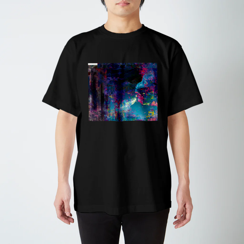 ◁cottolink▷のebb&flow スタンダードTシャツ