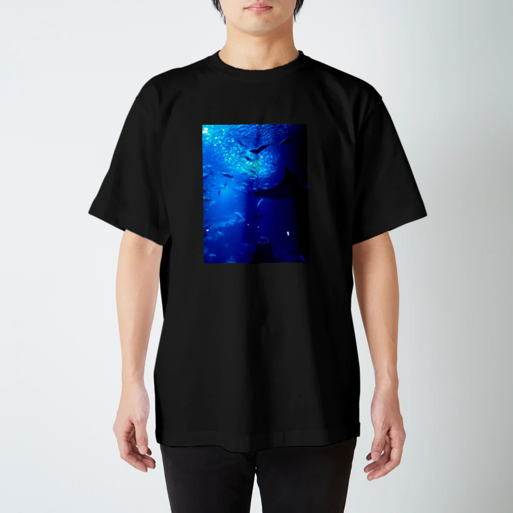 Tricolor-Catの深海の示現。 Regular Fit T-Shirt