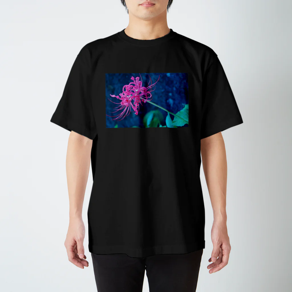 argonargonの彼岸花 Regular Fit T-Shirt