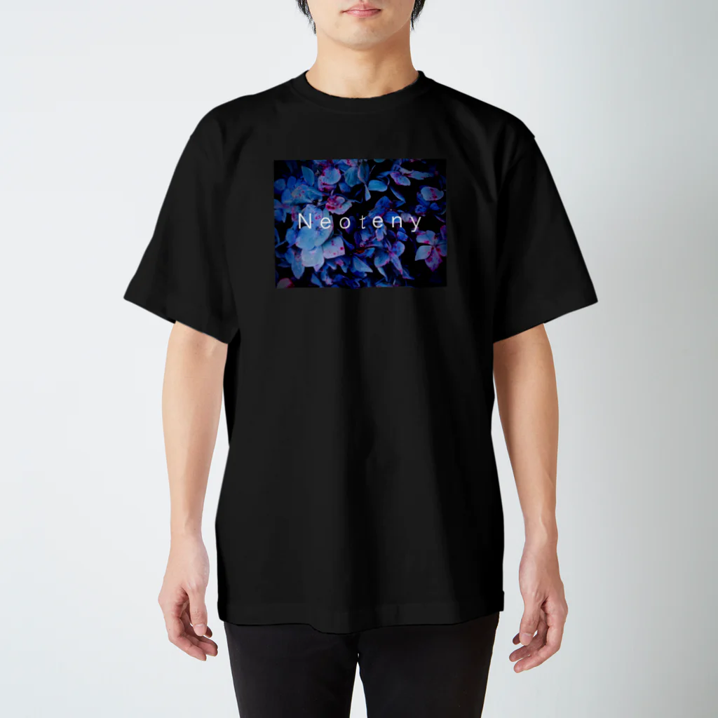 NeotenyのRain(val-riant) Regular Fit T-Shirt