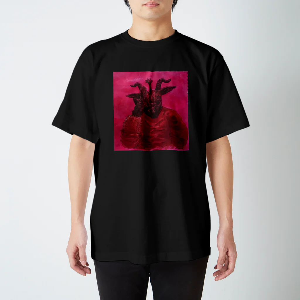 koaraの揺らぎと痛み Regular Fit T-Shirt