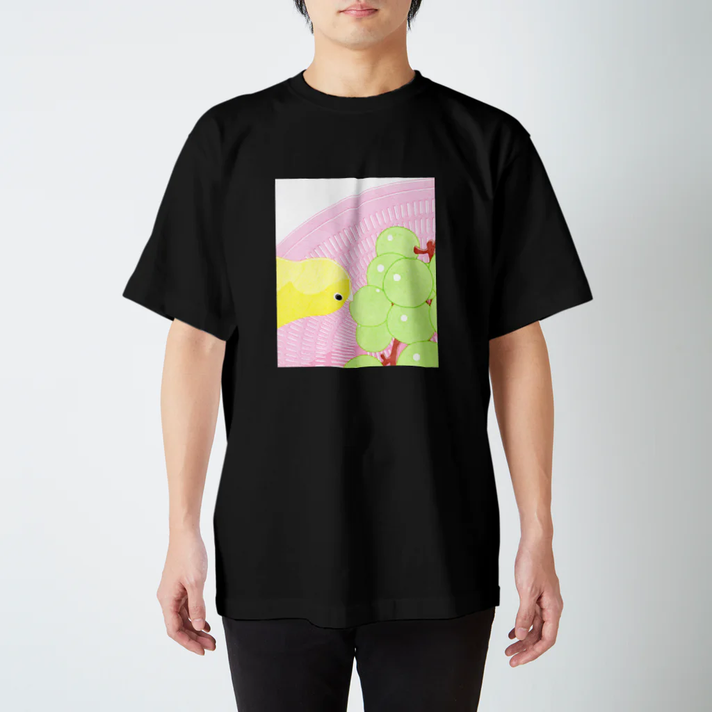 中村隆の葡萄とインコ スタンダードTシャツ