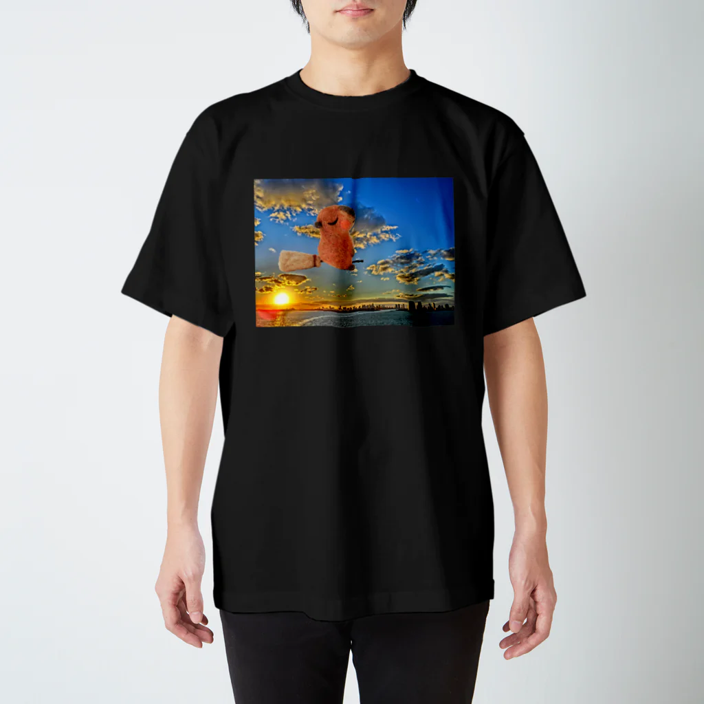 愛猫とひそひそ隊の空飛ぶカピバラさん スタンダードTシャツ