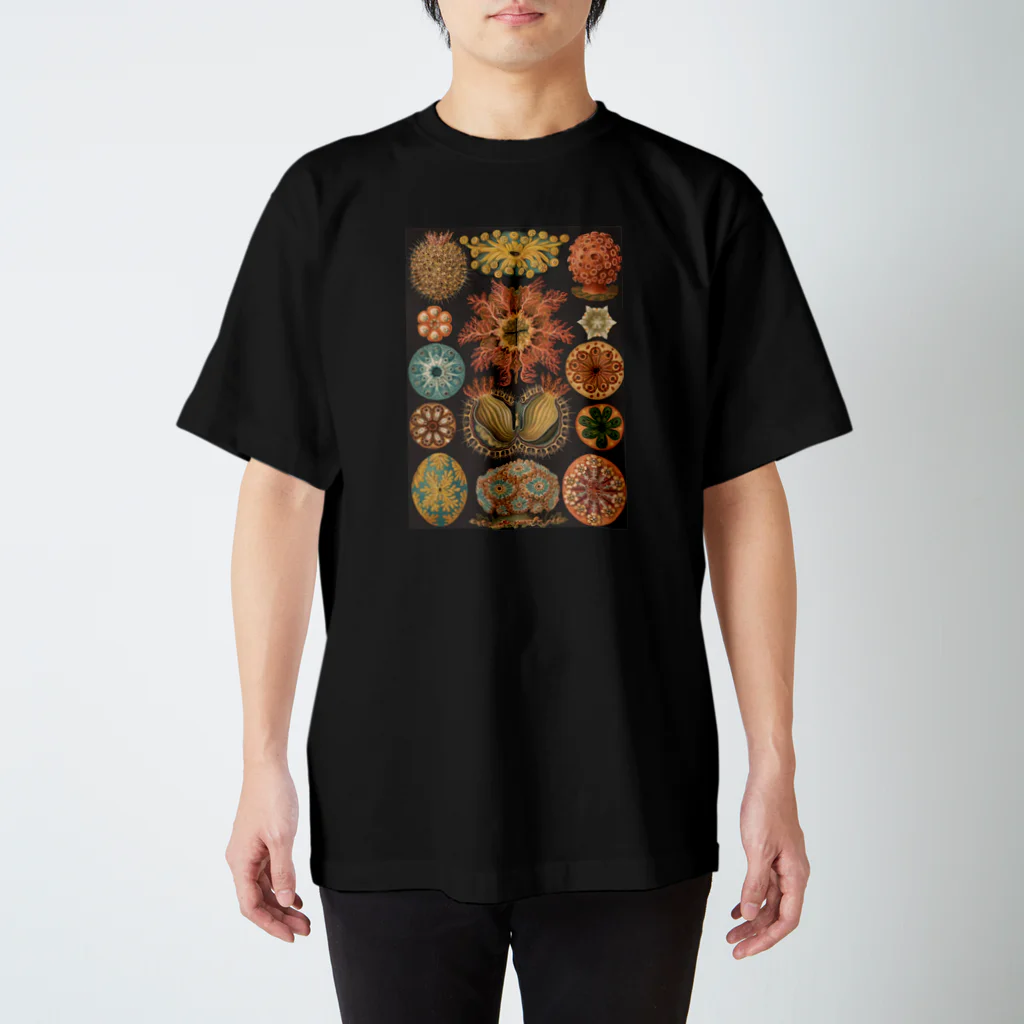 suess.のSea anemone スタンダードTシャツ