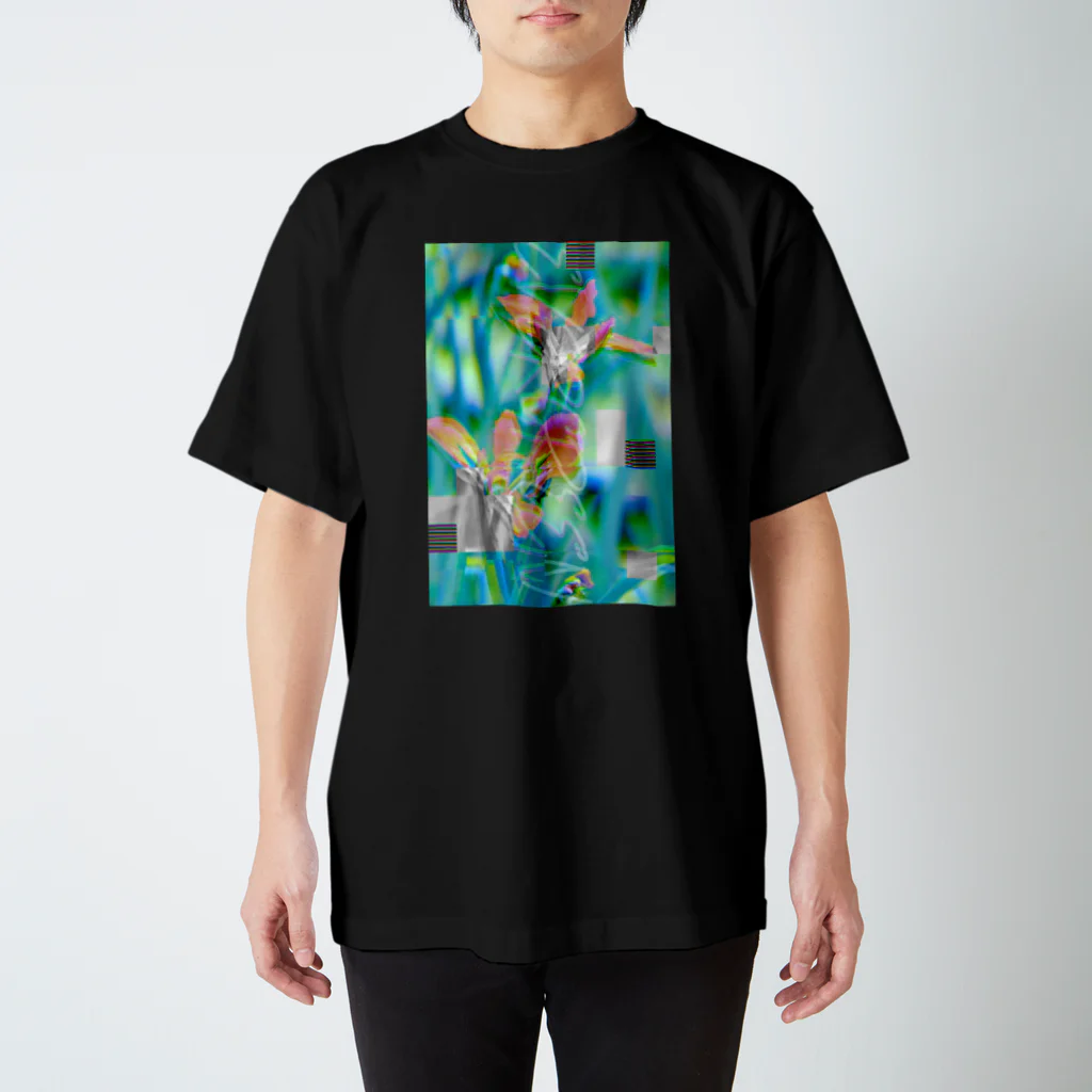 EVERGREENのEVERGREEN スタンダードTシャツ