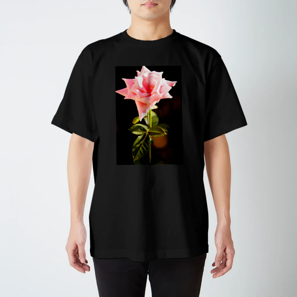 Rincの薔薇 Regular Fit T-Shirt