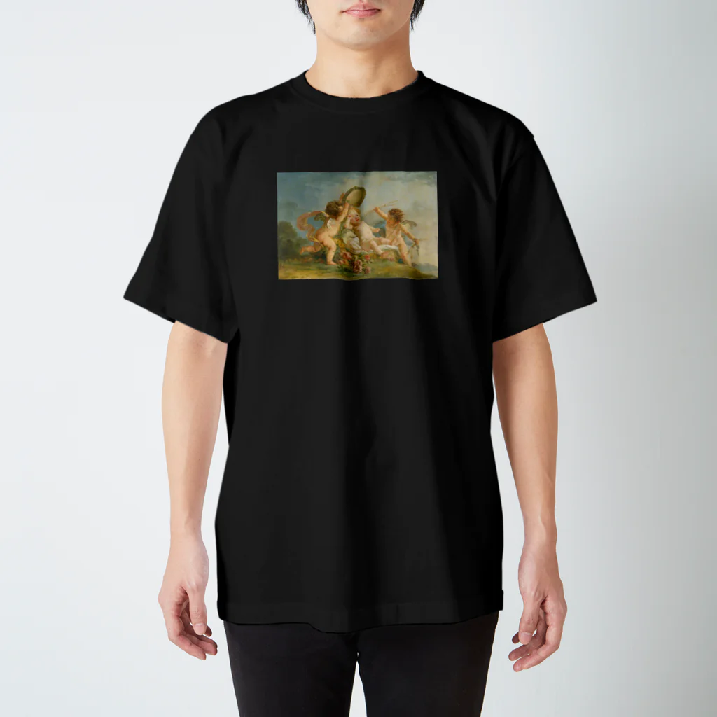 tz_lpnのangel  t Regular Fit T-Shirt