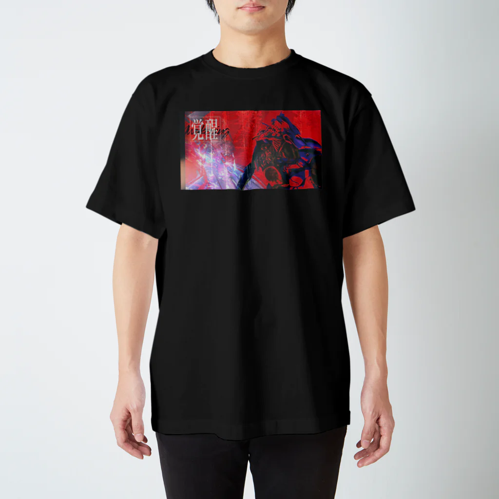 ZEN666の覚醒  スタンダードTシャツ