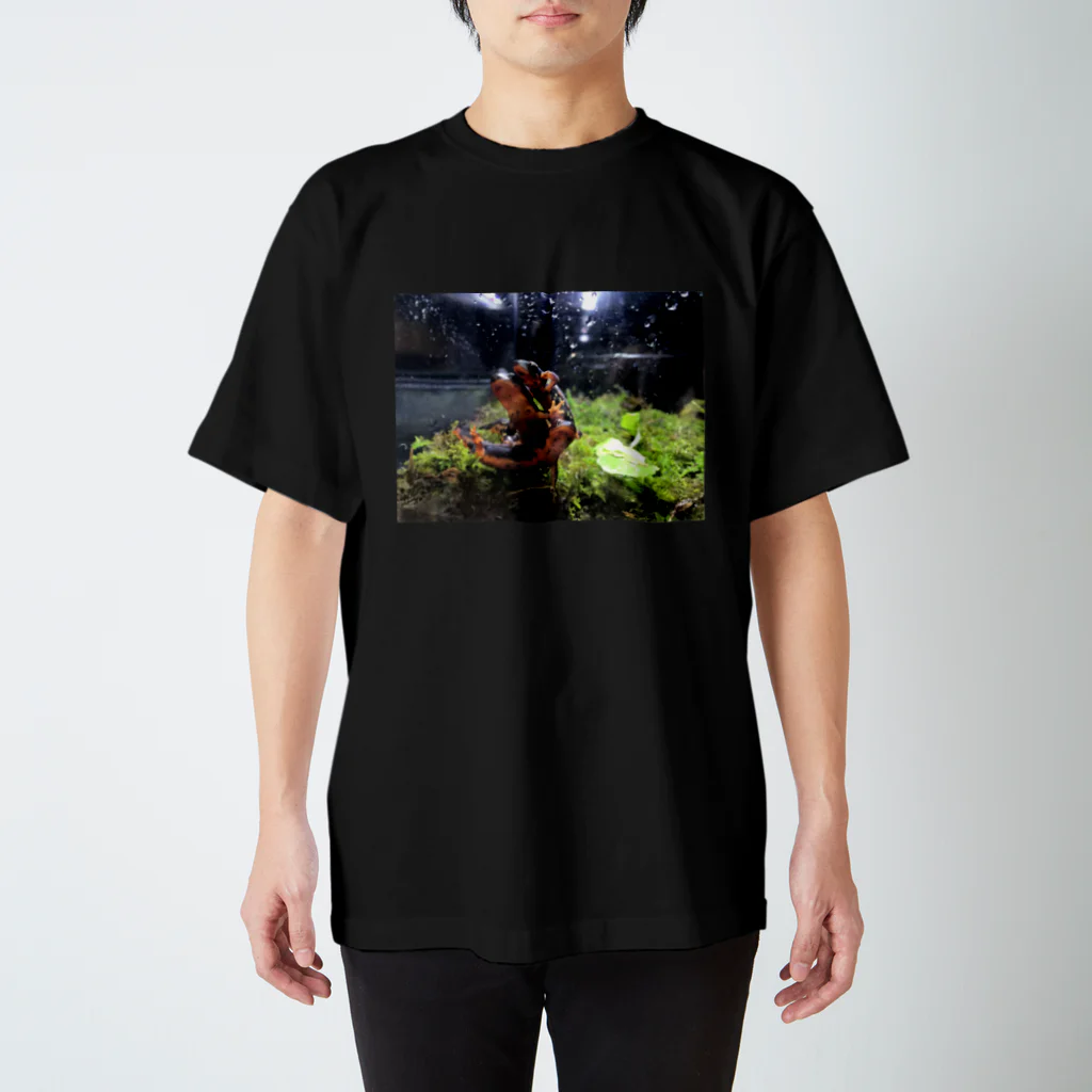 CRAYFISHのシリケンイモリ スタンダードTシャツ