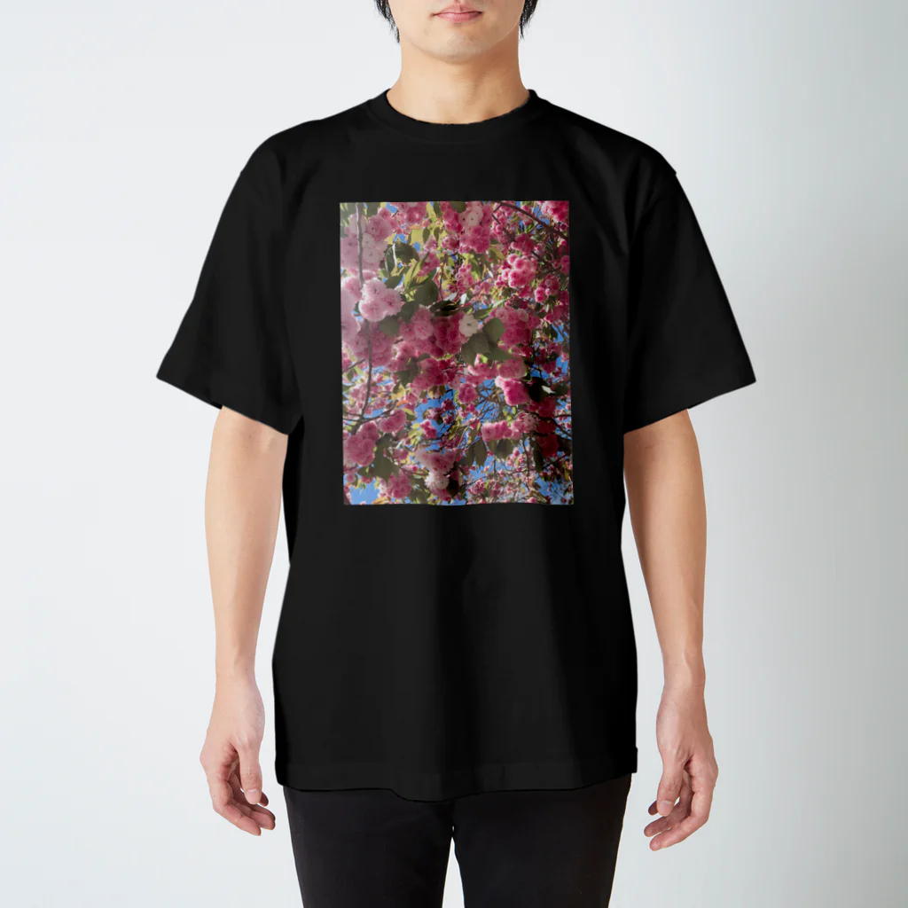 ユズマル屋の青空とピンク Regular Fit T-Shirt