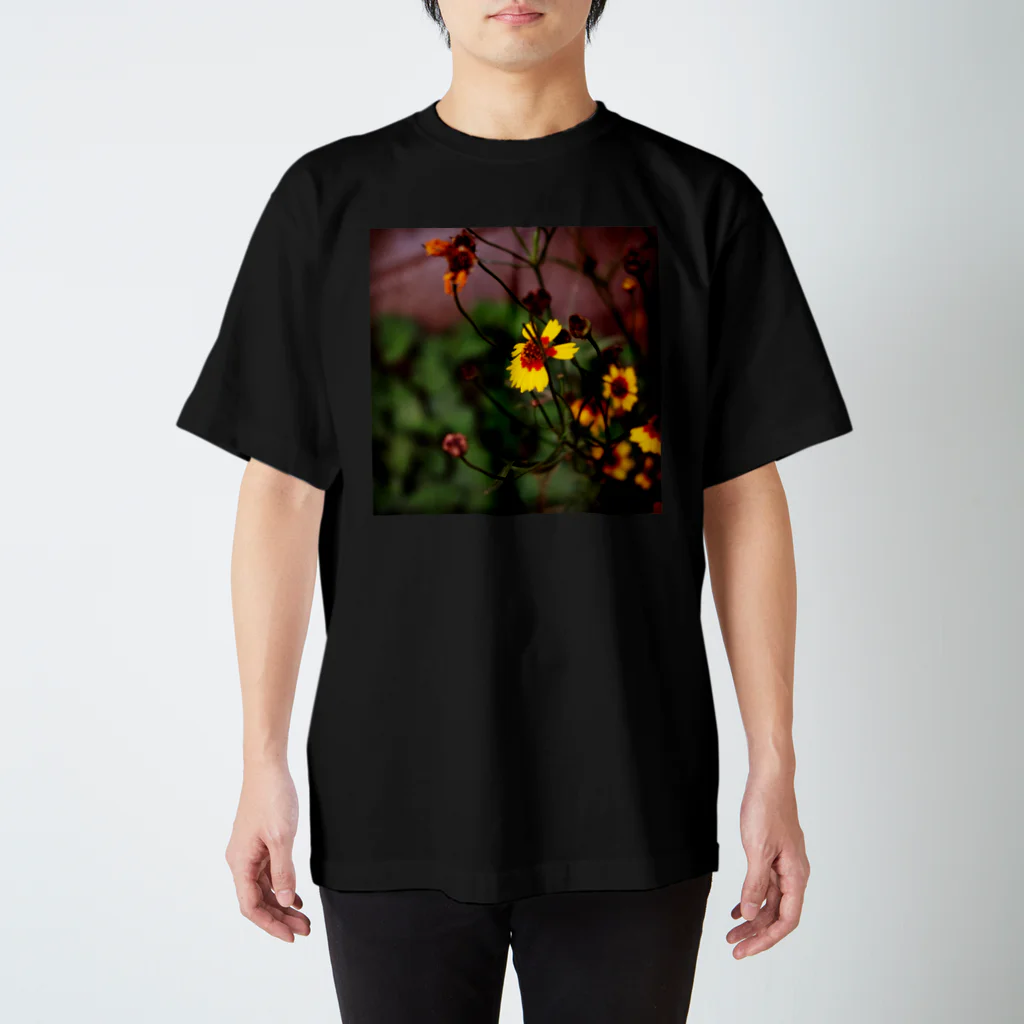 ナツカエキゾティカのFlower of life / 01 スタンダードTシャツ