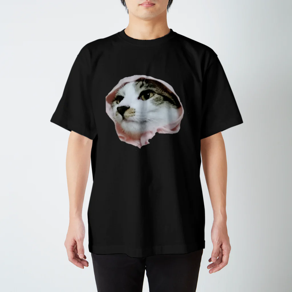 愛猫ちゃん達の毎日の★buuu'★ スタンダードTシャツ