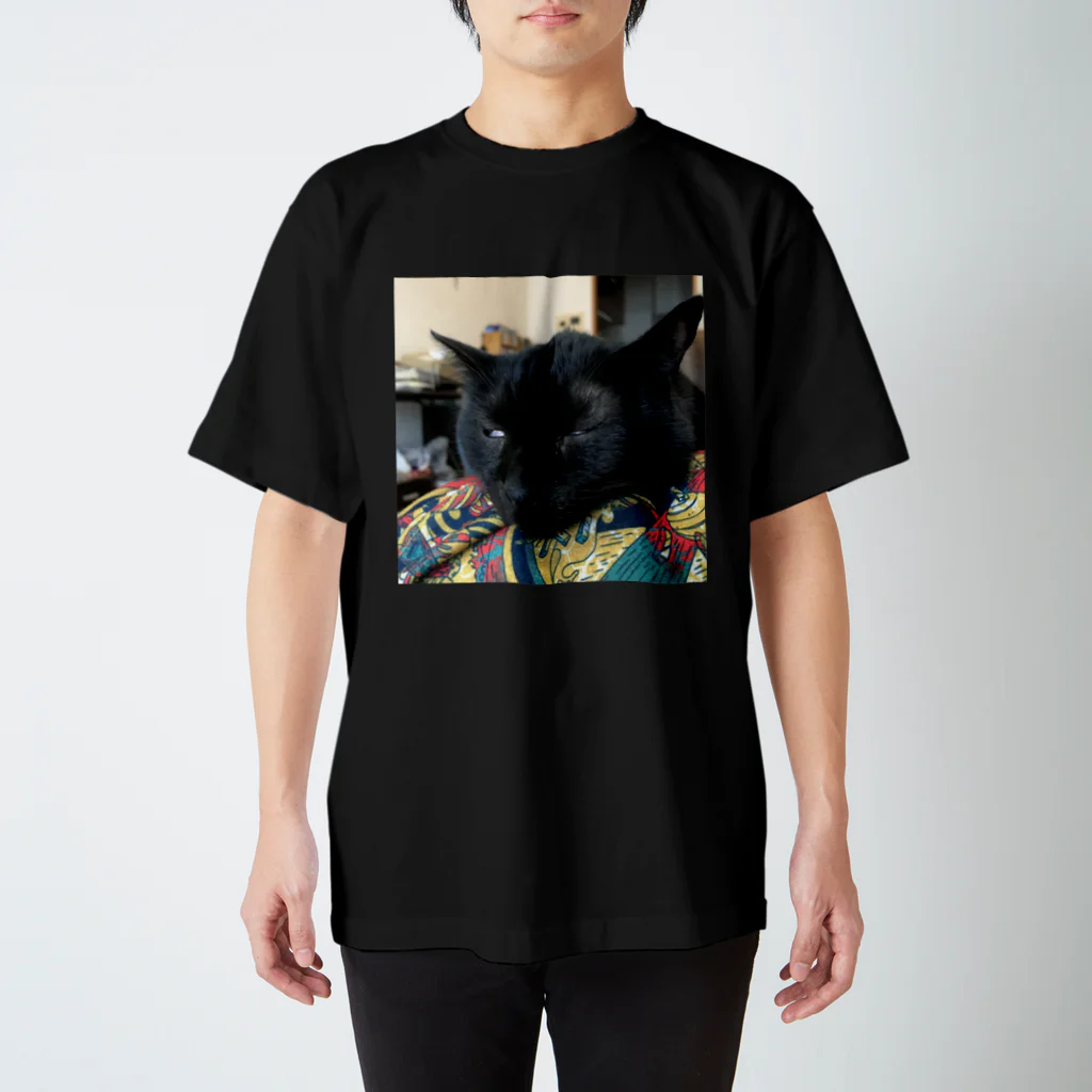  HARU-NYANKOのおねむねこ Regular Fit T-Shirt