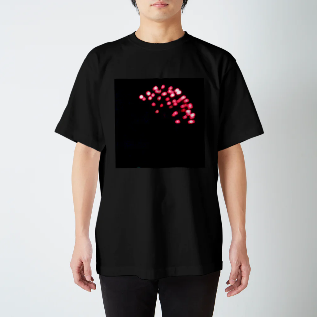 ある松のHANABI スタンダードTシャツ