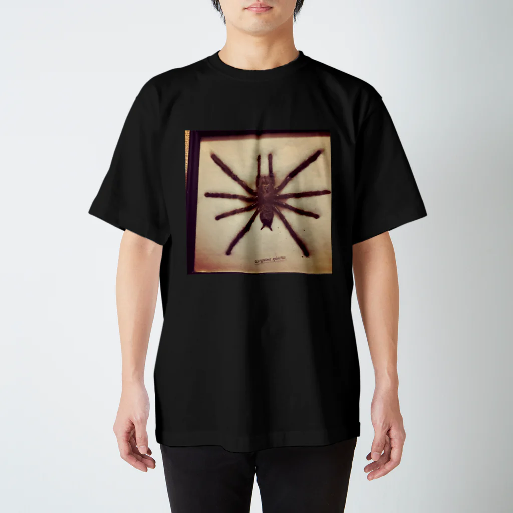 Lost'knotのクロイスパイダーマン スタンダードTシャツ