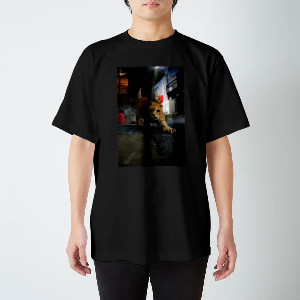 シッポ追いの猫写真店のInto the night スタンダードTシャツ