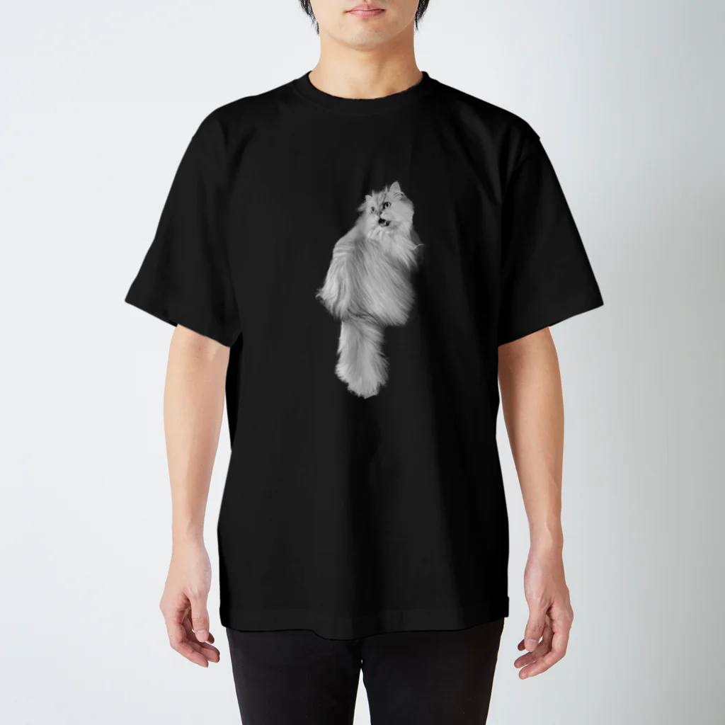 大変かわいらしい猫のグッズ屋さんの猫に豆鉄砲 スタンダードTシャツ