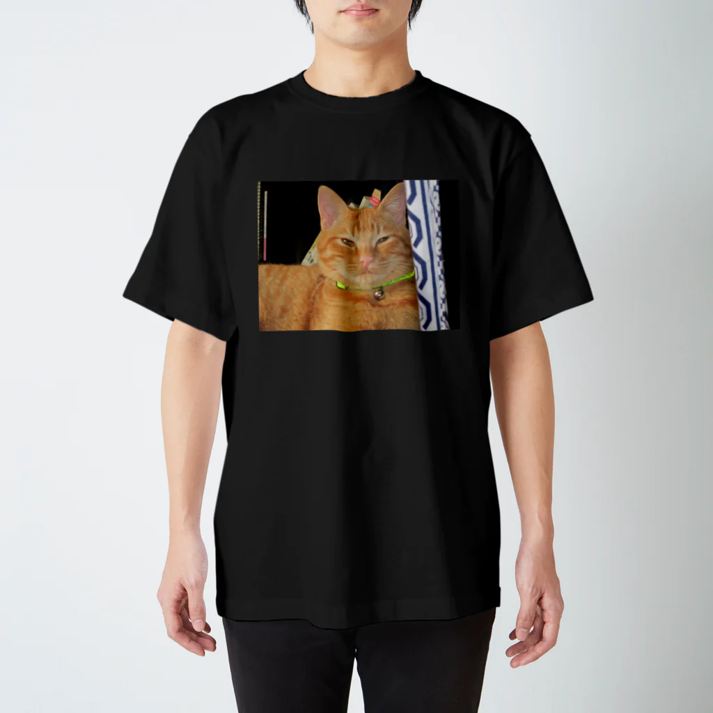 猫充商店の痩せねば　はく スタンダードTシャツ