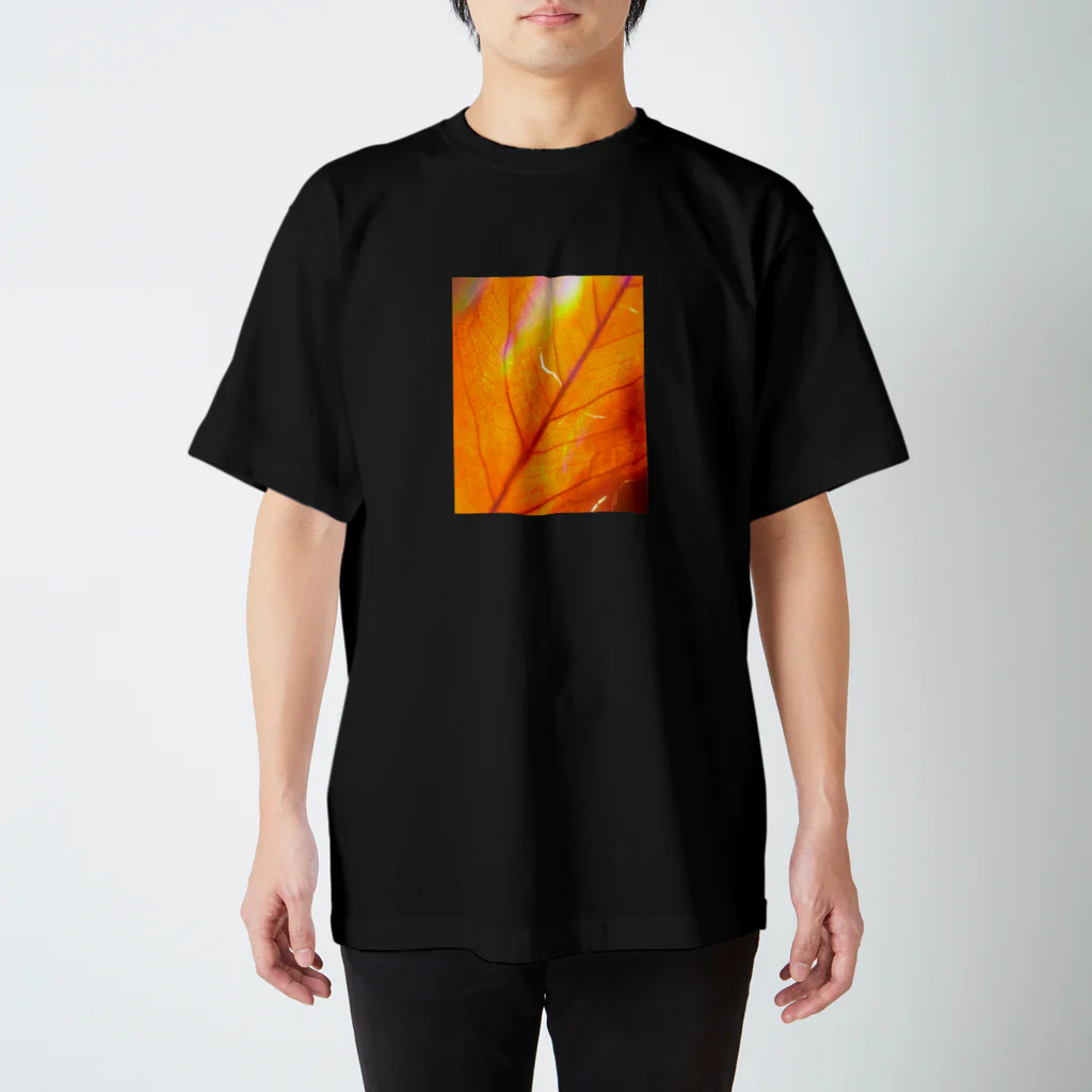 Hide Watanabeの leaf00 スタンダードTシャツ