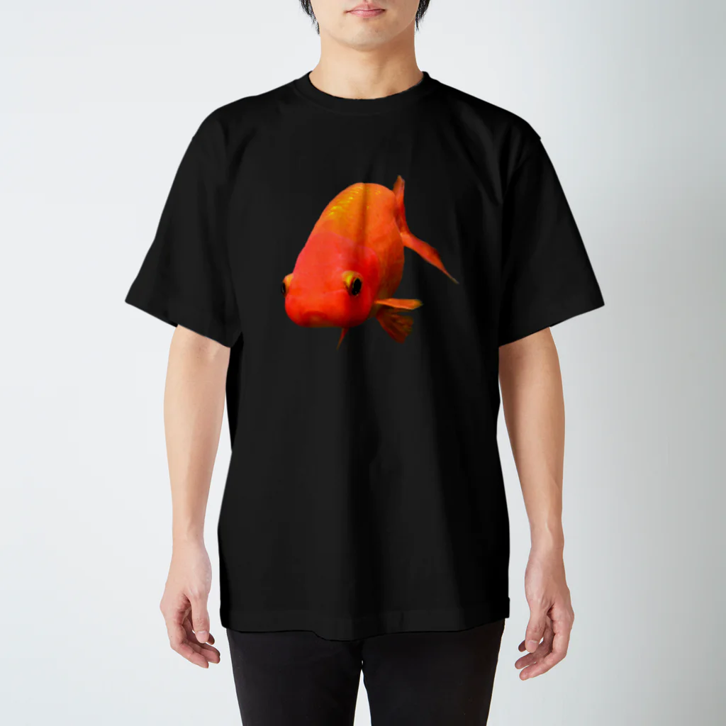 IYASAKA design のらんちゅう Regular Fit T-Shirt