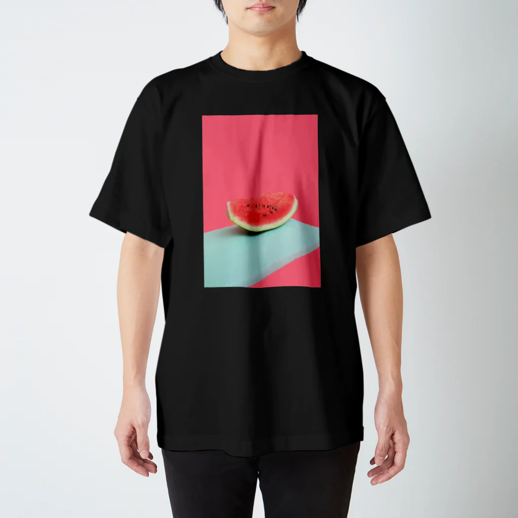 public domainのすいか Regular Fit T-Shirt