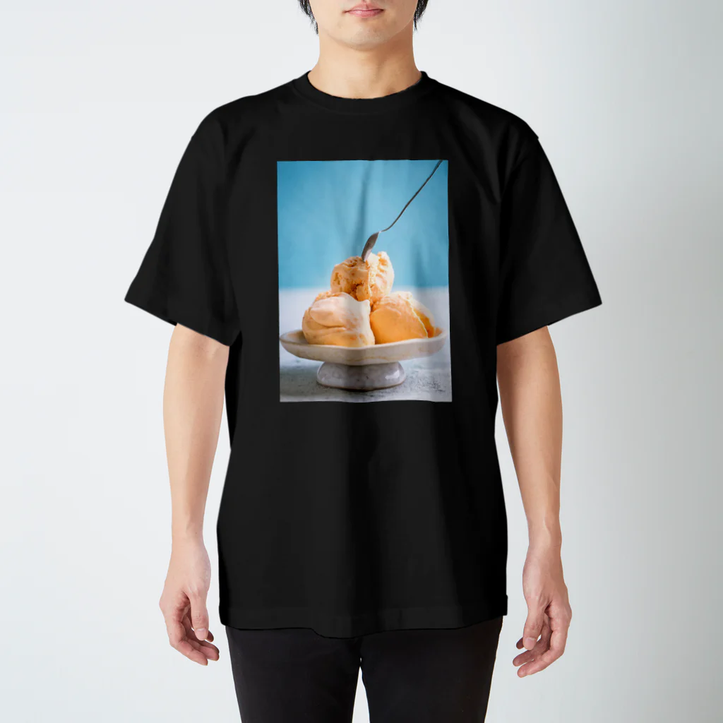 public domainのバニラアイス スタンダードTシャツ