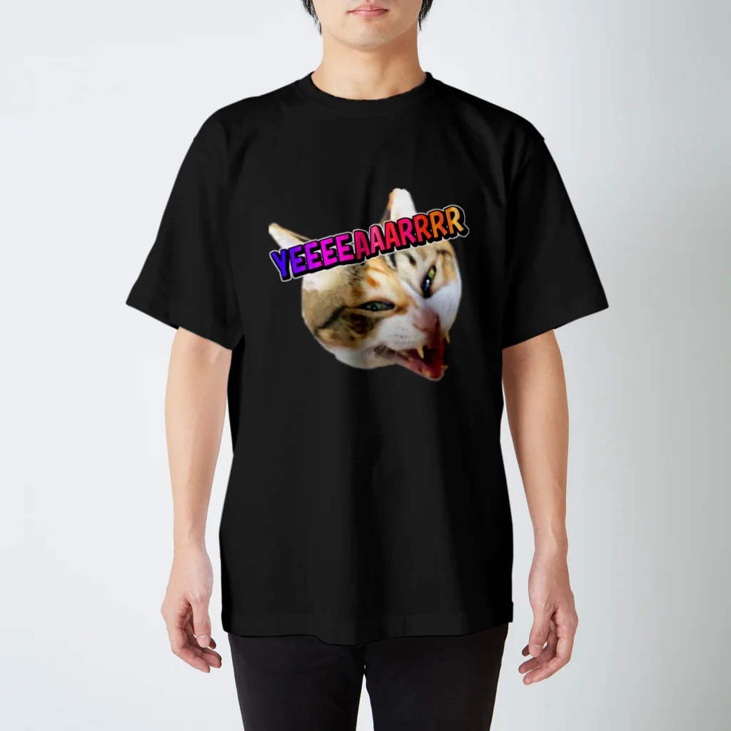 washakiti1の縞三毛猫きいの発狂YEAR スタンダードTシャツ