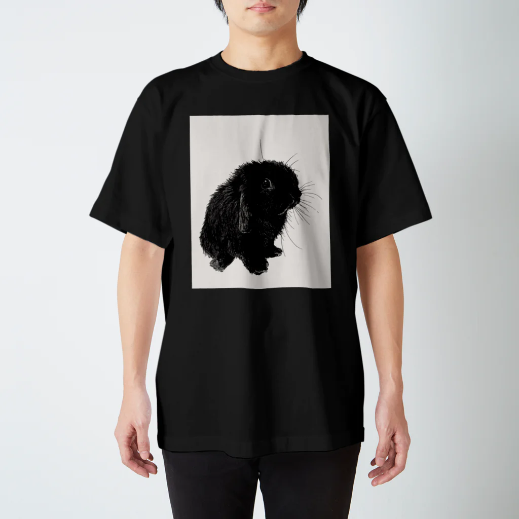 Gallery Neperoのまっくろ(くろすけ)濃色用 スタンダードTシャツ