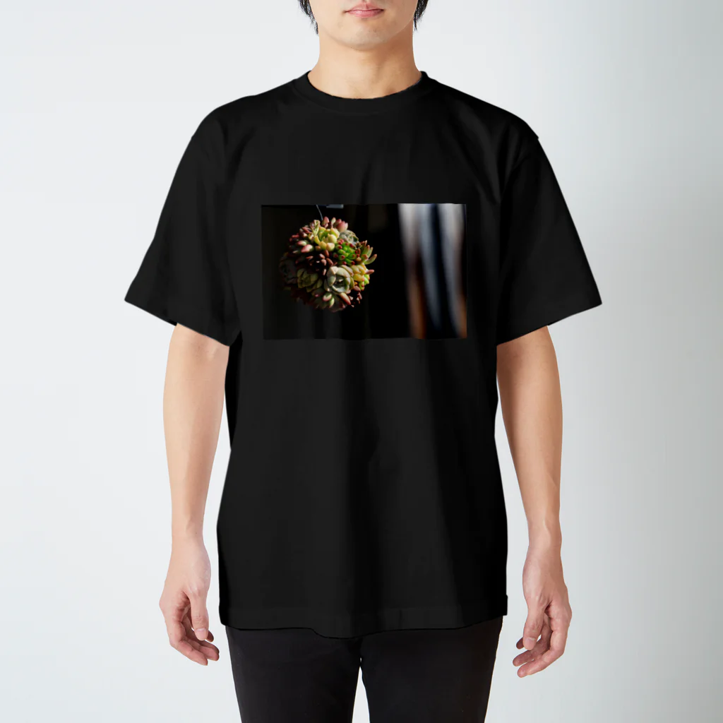 yurarhythmの多肉だま*多肉植物 スタンダードTシャツ