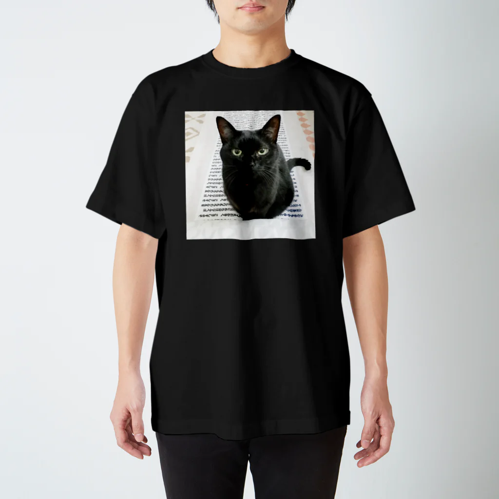 雑貨屋TOMOZOファクトリーの黒猫む〜広報部長 Regular Fit T-Shirt