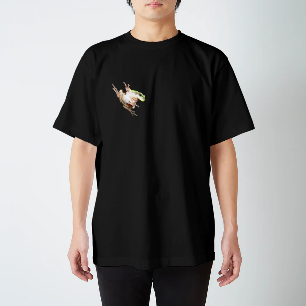 NATURE GOの闇夜のニホンアマガエル スタンダードTシャツ