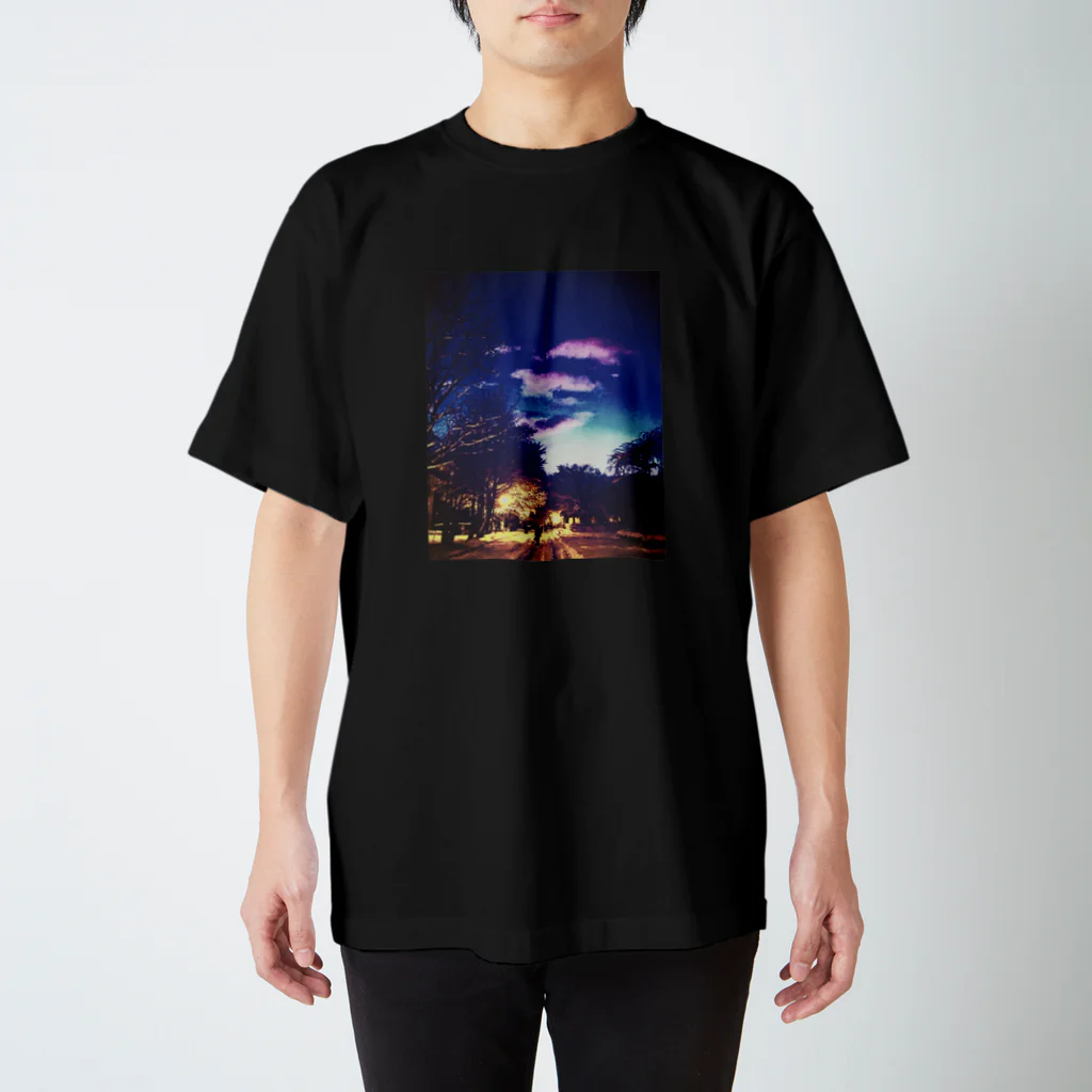 liofyのキャンパスライフ、冬 スタンダードTシャツ